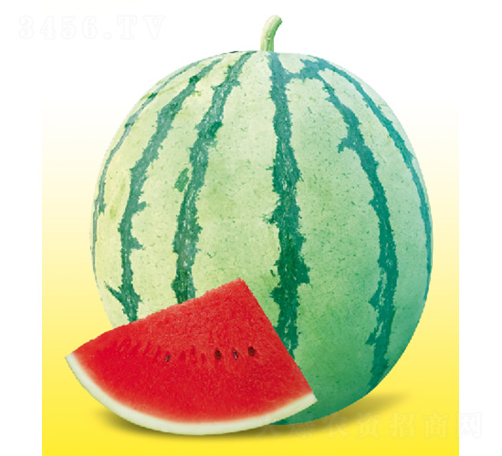 �t��-���ϷN��-��̩�_(d��)