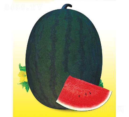 ������������-���ϷN��-��̩�_(d��)