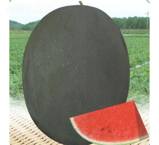 �ڱ�����-���ϷN��-��̩�_(d��)