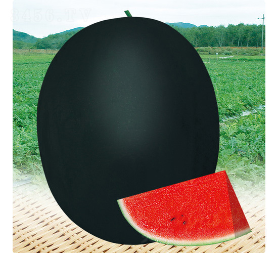 �ڱ���̖(h��o)����-���ϷN��-��̩�_(d��)