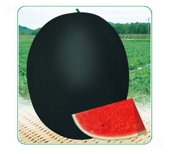 �ڱ���̖(h��o)-���ϷN��-��̩�_(d��)