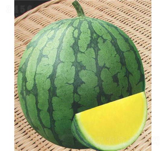 ���������-���ϷN��-��̩�_(d��)