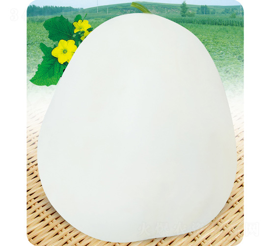 ������-��ϷN��-��̩�_(d��)