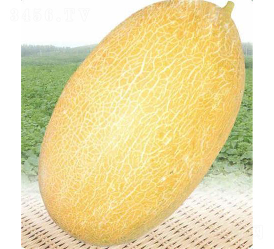 ��(y��u)�t����-��ϷN��-��̩�_(d��)