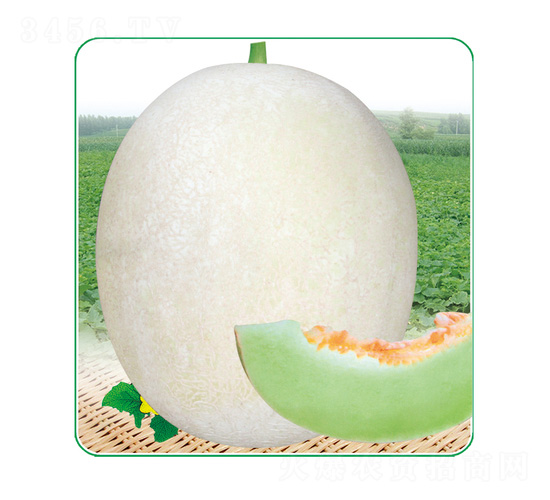 �y��9̖(h��o)-��ϷN��-��̩�_(d��)