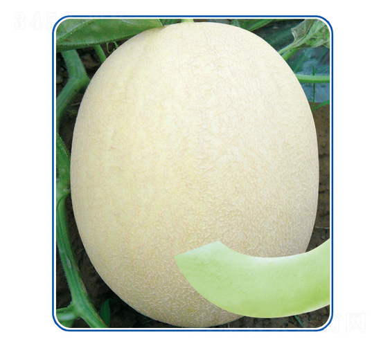 �y��8̖-��ϷN��-��̩�_(d��)