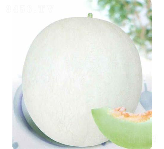 �y��5̖���-��ϷN��-��̩�_