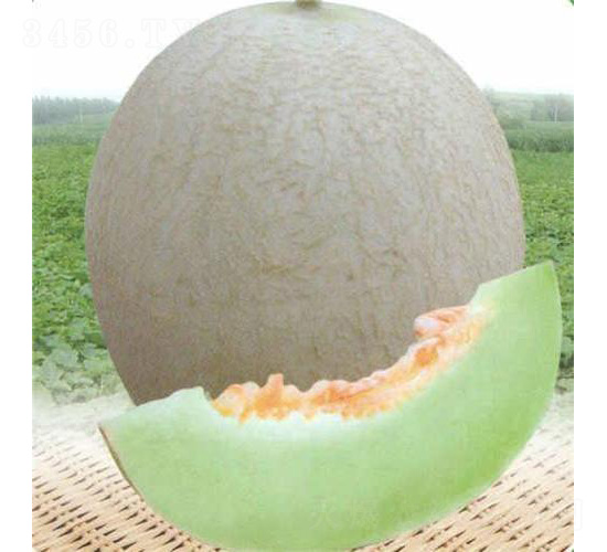 �y��3̖(h��o)���-��ϷN��-��̩�_(d��)