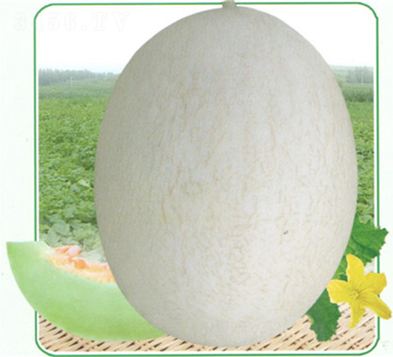 �y��2̖���-��ϷN��-��̩�_