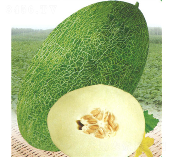 ���۴�-��ϷN��-��̩�_