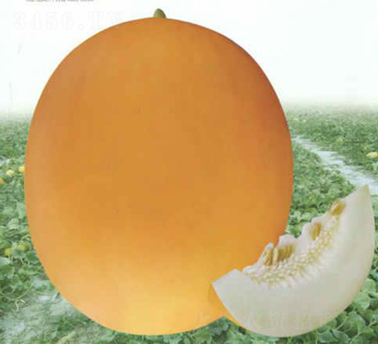 �¼t�����-��ϷN��-��̩�_(d��)