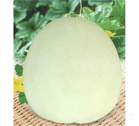 ���������-��ϷN��-��̩�_(d��)