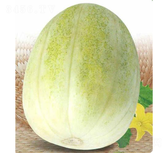 ���������-��ϷN��-��̩�_