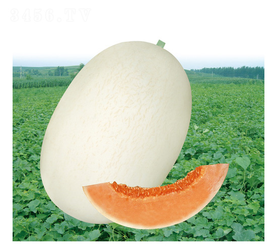 �ļ��y�t��̖���-��ϷN��-��̩�_