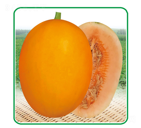 �ļ���t��̖-��ϷN��-��̩�_(d��)