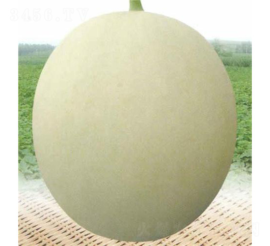 ���������-��ϷN��-��̩�_(d��)