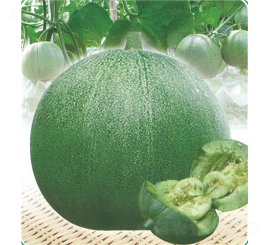 �G�����-��ϷN��-��̩�_(d��)