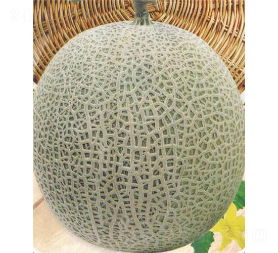 ��(j��ng)�������-��ϷN��-��̩�_(d��)