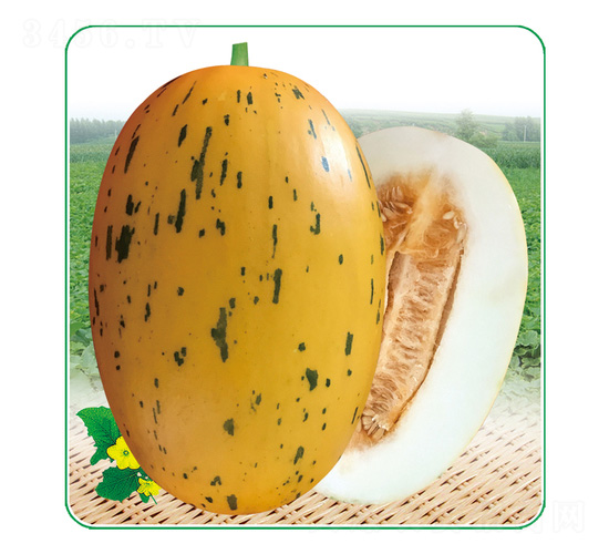 ��������-��ϷN��-��̩�_(d��)