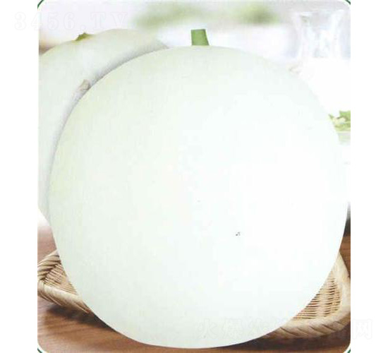 �A����4̖���-��ϷN��-��̩�_