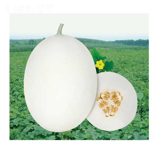 �����-��ϷN��-��̩�_(d��)