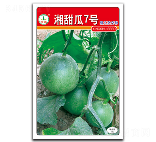 �����7̖(h��o)-����ϷN��-�d�߷N�I(y��)