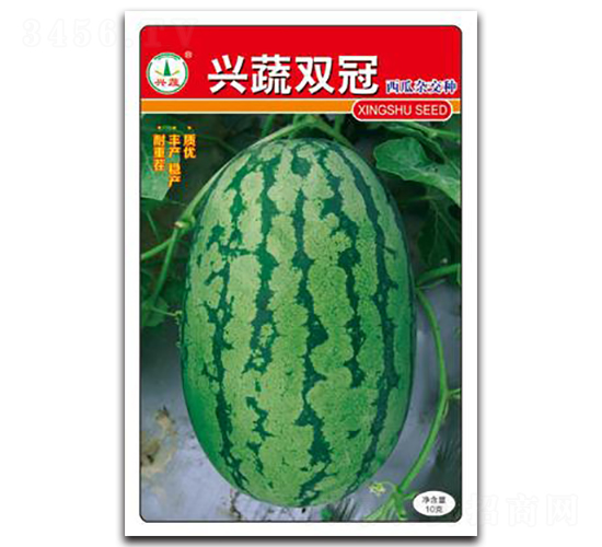 �d���p��-���ϷN��-�d�߷N�I(y��)