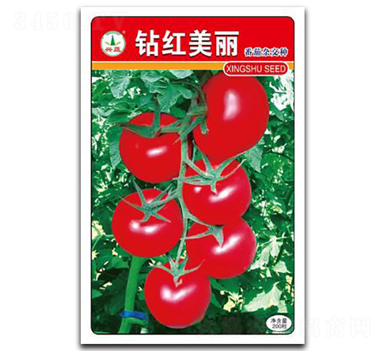 �@�t����-���ѷN��-�d�߷N�I(y��)