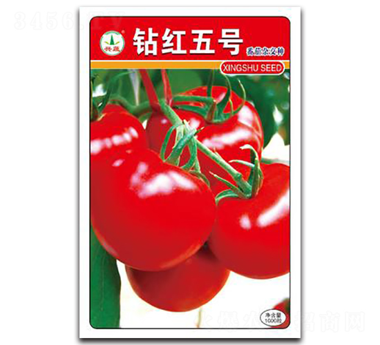 �@�t5̖(h��o)-���ѷN��-�d�߷N�I(y��)