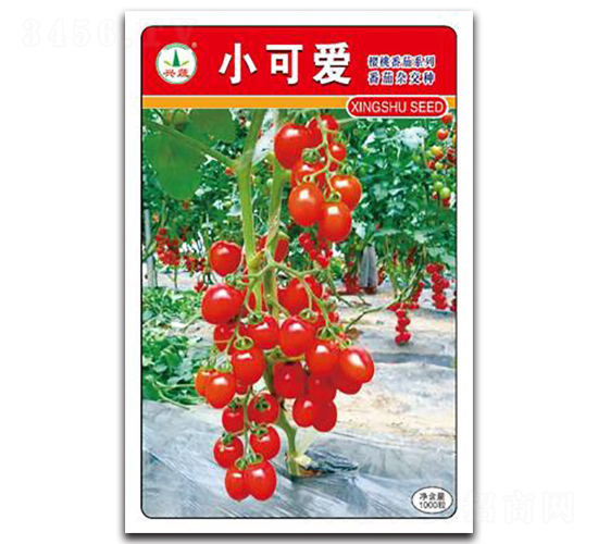 С�ɐ�-���ѷN��-�d�߷N�I(y��)