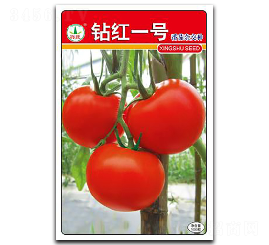 �@�tһ̖-���ѷN��-�d�߷N�I(y��)