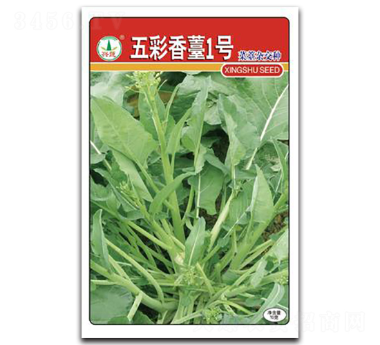 �����̦1̖(h��o)-��̦�N��-�d�߷N�I(y��)