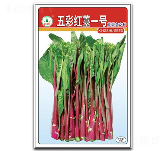 ��ʼț1̖-��̦�N��-�d�߷N�I(y��)