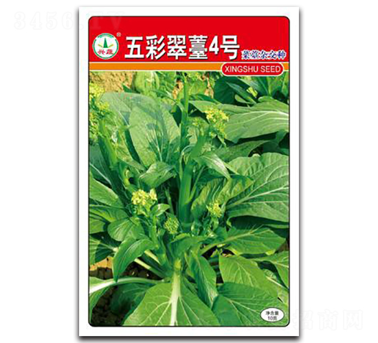 ��ʴ�̦4̖-��̦�N��-�d�߷N�I(y��)