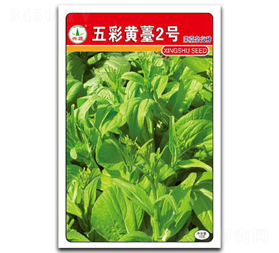 �Ș2̖-��̦�N��-�d�߷N�I(y��)