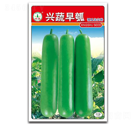 �d�����-�ϷN��-�d�߷N�I(y��)