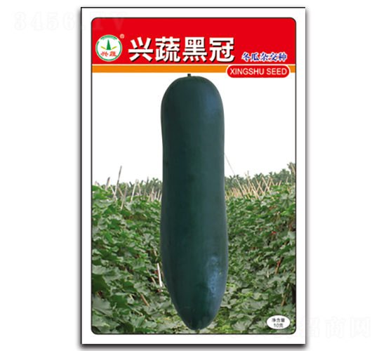 �d�ߺڹ�-���ϷN��-�d�߷N�I(y��)