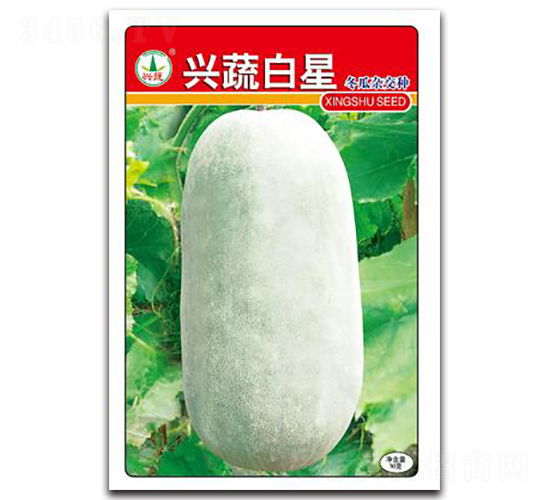 �d�߰���-���ϷN��-�d�߷N�I(y��)