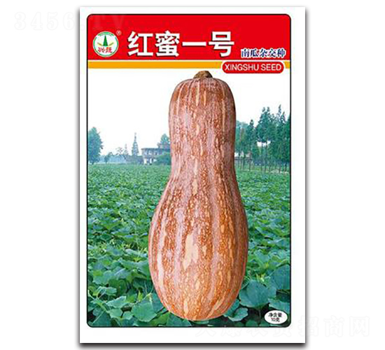 �d�߼t��1̖-�ϹϷN��-�d�߷N�I(y��)