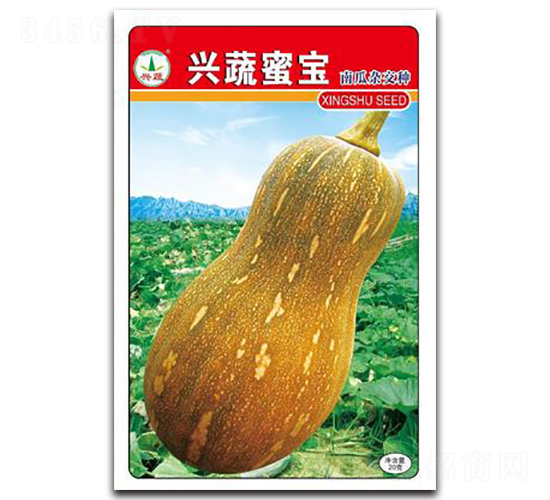 �d���ی�-�ϹϷN��-�d�߷N�I(y��)