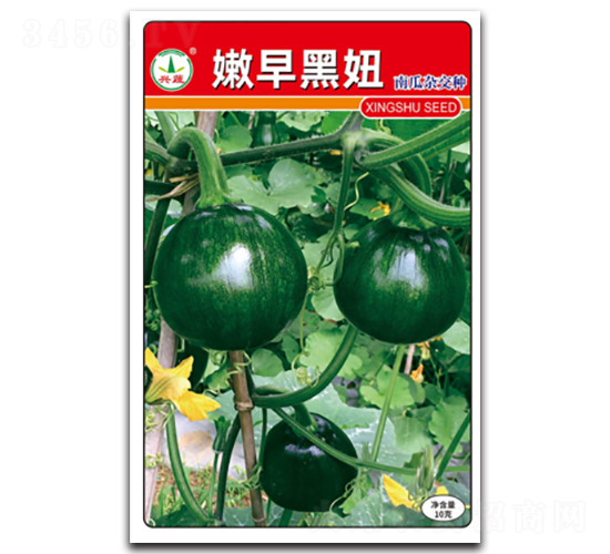 ������-�ϹϷN��-�d�߷N�I(y��)