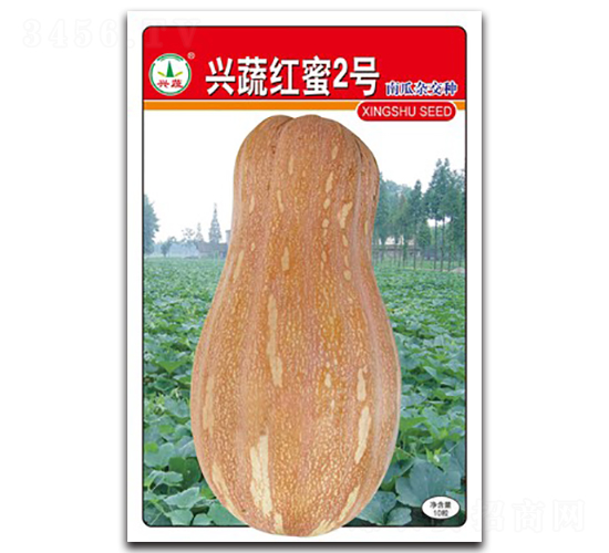 �d�߼t��2̖(h��o)-�ϹϷN��-�d�߷N�I(y��)