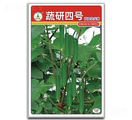 ������̖-�S�ϷN��-�d�߷N�I(y��)