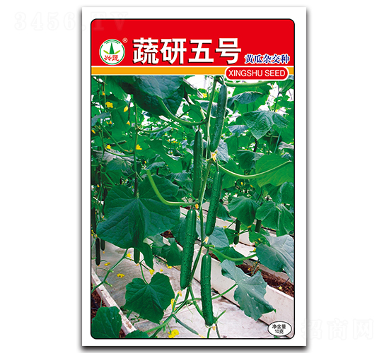 ������̖(h��o)-�S�ϷN��-�d�߷N�I(y��)