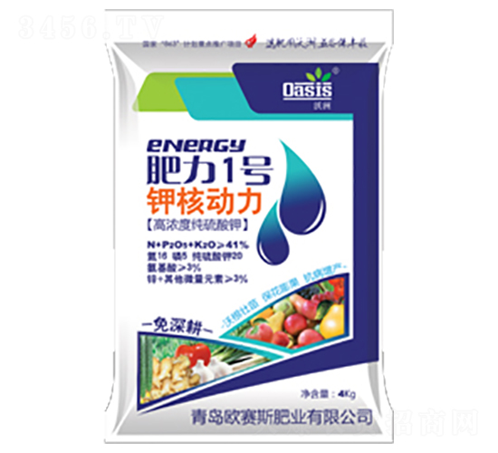 �ߝ�ȼ������-����1̖(h��o)-�Wِ˹