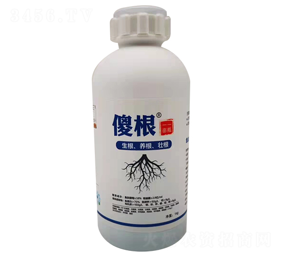 ������-ɵ��-���B(t��i)����