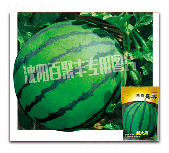 ���μ���-���ϷN��-�پ��S