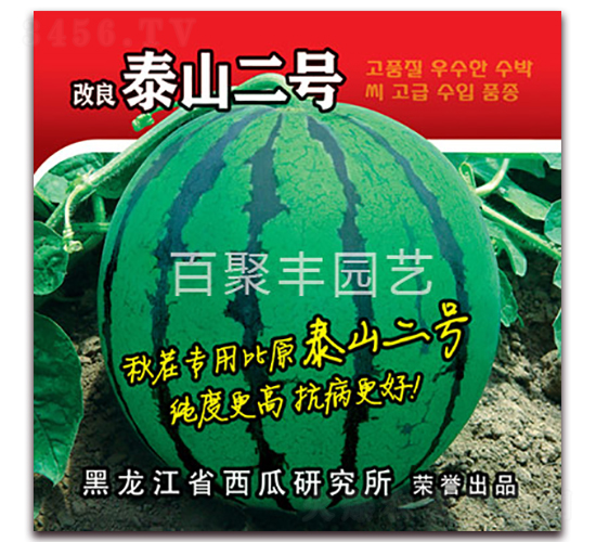 ����̩ɽ��̖-���ϷN��-�پ��S