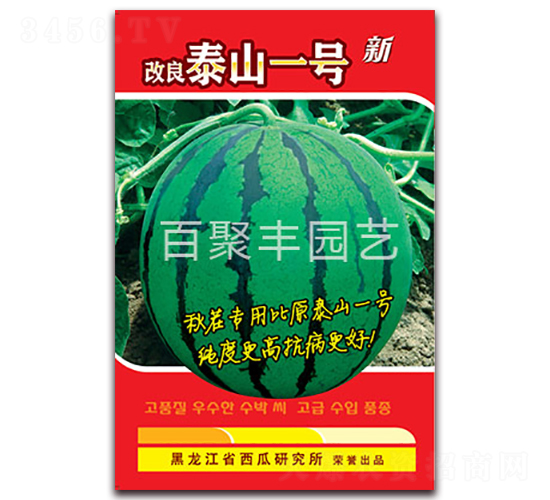 ����̩ɽһ̖-���ϷN��-�پ��S