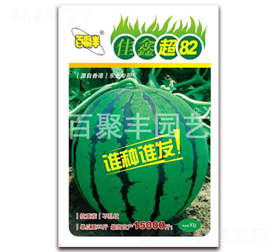 ���γ�82-���ϷN��-�پ��S